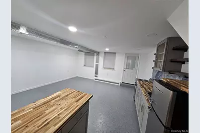 455 E 43rd Street, Brooklyn, NY 11203 - Photo 26