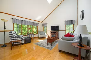 44 Eleanor Dr, Salt Point, NY 12578 - Photo 22