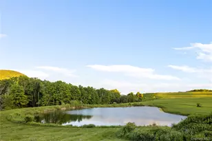 335 Dawson Rd, Hillsdale, NY 12529 - Photo 4