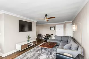 1 Birchwood, Mineola, NY 11501 - Photo 4