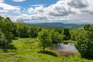 139 Charlie Hill Rd, Millerton, NY 12546 - Photo 38