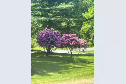 375 Harris Road, Monticello, NY 12701 - Photo 6