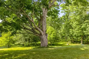 633 Ridgebury Rd, Slate Hill, NY 10973 - Photo 44