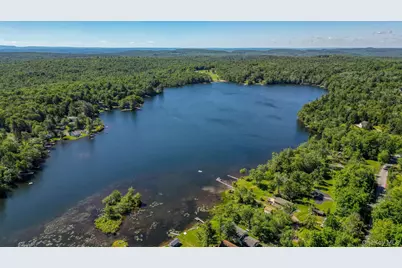 110 Park Drive, Parksville, NY 12768 - Photo 8