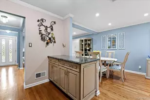 10 Peter Rd, Hicksville, NY 11801 - Photo 14