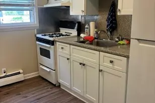 283 Houston Ave, Mineola, NY 11501 - Photo 12