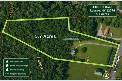 438 Gulf Road, Roscoe, NY 12776 - Photo 28