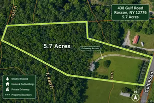 438 Gulf Rd, Roscoe, NY 12776 - Photo 28