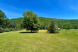 438 Gulf Rd, Roscoe, NY 12776 - Photo 6