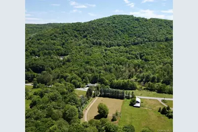 438 Gulf Road, Roscoe, NY 12776 - Photo 8