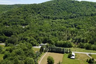 438 Gulf Rd, Roscoe, NY 12776 - Photo 8