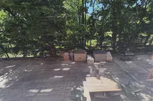67-50 Thornton Pl, Forest Hills, NY 11375 - Photo 10