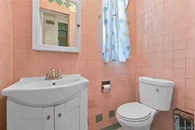 224 E 55th Street, Brooklyn, NY 11203 - Photo 12