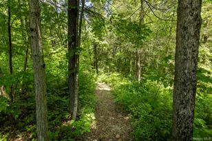 82 Near Rd, Gallatin, NY 12571 - Photo 22