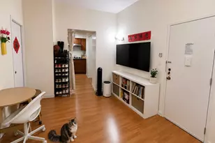 167 Sands St, Brooklyn, NY 11201 - Photo 4