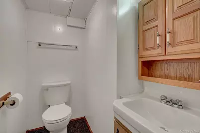 49 McAlester Avenue, Hicksville, NY 11801 - Photo 16
