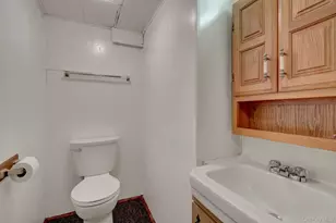 49 McAlester Ave, Hicksville, NY 11801 - Photo 16