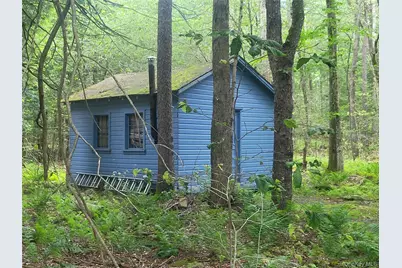 52 Log Road, Parksville, NY 12768 - Photo 26