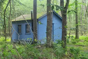 52 Log Rd, Parksville, NY 12768 - Photo 26
