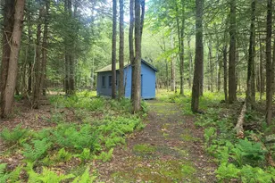 52 Log Rd, Parksville, NY 12768 - Photo 6