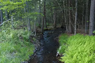 52 Log Rd, Parksville, NY 12768 - Photo 2