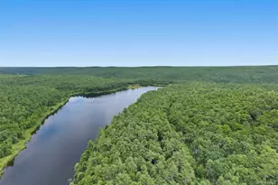 91 Crawford Rd, Barryville, NY 12719 - Photo 50