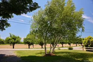 75 Brookside Rd, New Paltz, NY 12561 - Photo 28