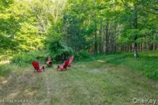 4533 Atwood Rd, Stone Ridge, NY 12484 - Photo 42