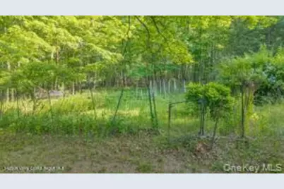 4533 Atwood Road, Stone Ridge, NY 12484 - Photo 46