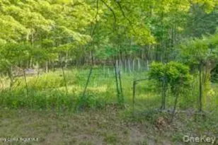 4533 Atwood Rd, Stone Ridge, NY 12484 - Photo 46