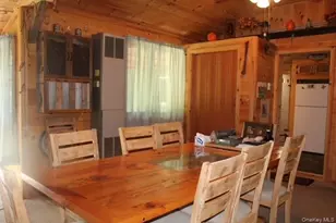 553 Friedenstein Rd, Fremont Center, NY 12760 - Photo 12