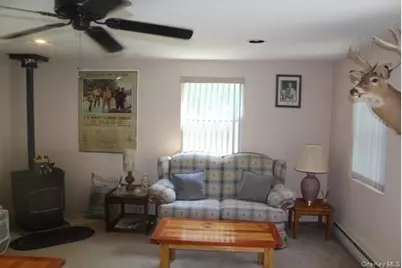 553 Friedenstein Road, Long Eddy, NY 12760 - Photo 20