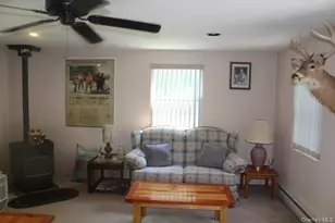 553 Friedenstein Rd, Fremont Center, NY 12760 - Photo 20