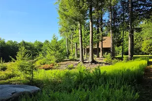 108 Eagles Ridge Way, Parksville, NY 12768 - Photo 48