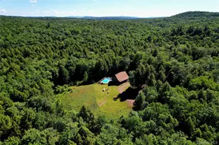 108 Eagles Ridge Way, Parksville, NY 12768 - Photo 2