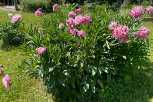 2228 State Route 203, Chatham, NY 12037 - Photo 40