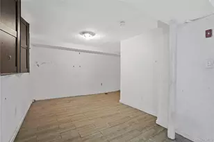 294 Hemlock St, Brooklyn, NY 11208 - Photo 34