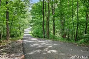 72 Peddler Hill Rd, Monroe, NY 10950 - Photo 42
