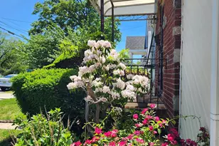 119-42 238th St, Cambria Heights, NY 11411 - Photo 4