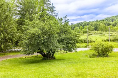 673 Hessinger and Lare Road, Jeffersonville, NY 12748 - Photo 42