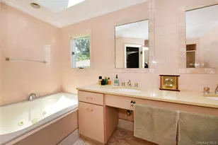 3 Joy Dr, Manhasset Hills, NY 11040 - Photo 34
