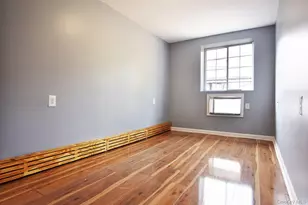 1619 Pacific St, Brooklyn, NY 11213 - Photo 4