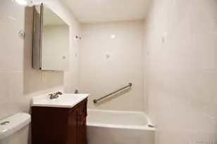 1619 Pacific St, Brooklyn, NY 11213 - Photo 10