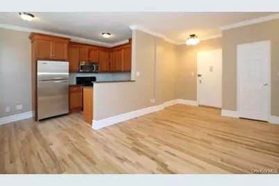 111 7th Street #202, Garden City, NY 11530 - Photo 6
