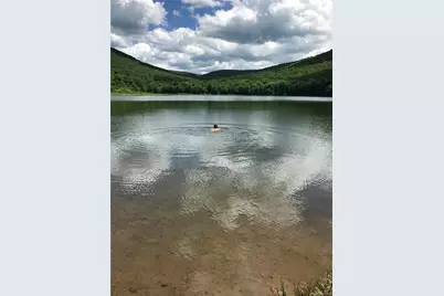 [Address not provided], Livingston Manor, NY 12758 - Photo 42