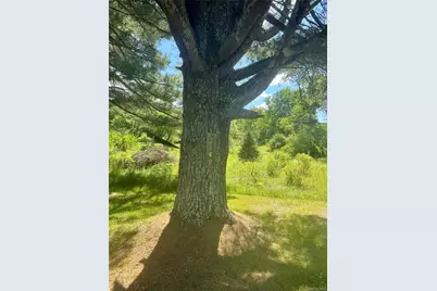 [Address not provided], Livingston Manor, NY 12758 - Photo 48