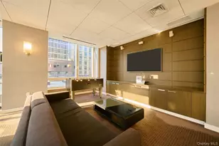 247 W 46th St, New York, NY 10036 - Photo 18