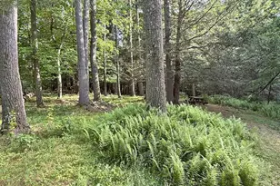 11 Nordic Dr, Woodstock, NY 12498 - Photo 36