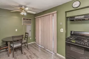 42 Larch St, Hicksville, NY 11801 - Photo 10
