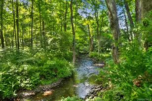 73 Lake Ellis Rd, Wingdale, NY 12594 - Photo 42